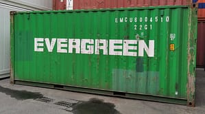 Evergreen Teu in grün